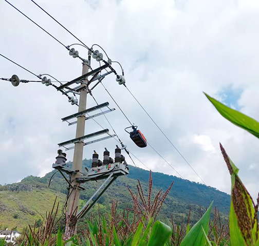 解決農業生產區域觸電安全隱患，沒問題！