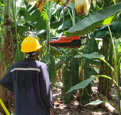 廣西南寧房線矛盾 帶電絕緣涂覆機器人來解決