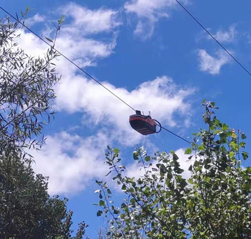 云南臨滄樹線矛盾線路絕緣涂覆處理