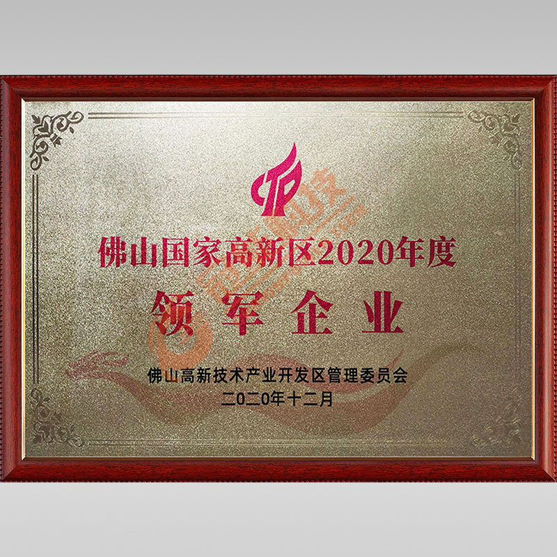 國家高新區2020年度領軍企業